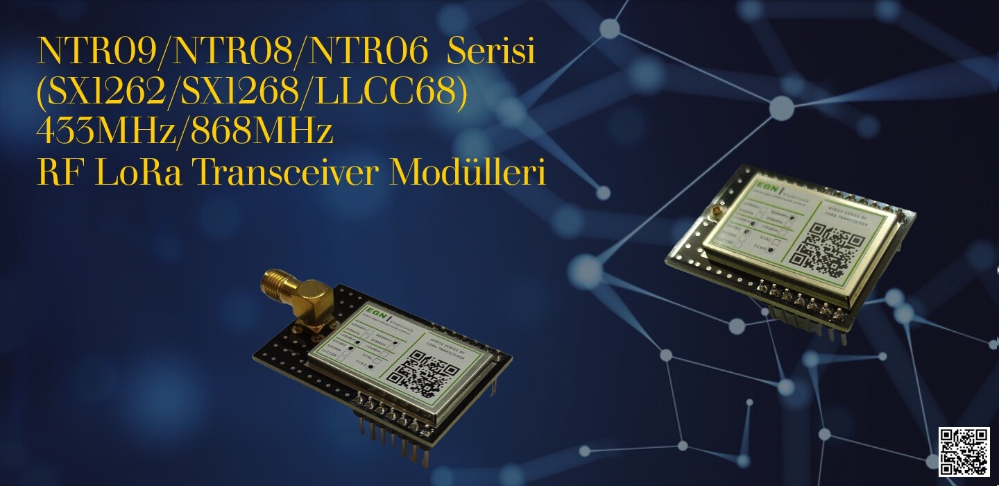 NTR Serisi 433MHz/868MHz RF LoRa Transceiver Modülleri