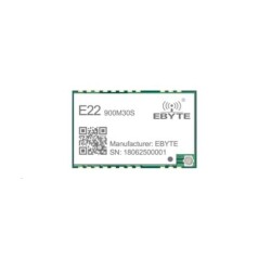 E22-900M30S 850MHz-930MHz LoRa Modül (SX1262, 30dBm, UART, SMD) - Ebyte