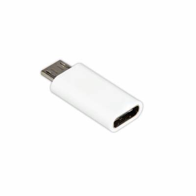 Mikro USB Erkek - USB C Dişi Adaptör - 1