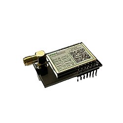 NTR19RSW8 868MHz/+27dBm RF LoRa Transceiver Modülü (SX1262, SAW Filtre, TCXO, RF Ekran, 500mW/+27dBm, SMA RF Konnektör) - EGN Elektronik