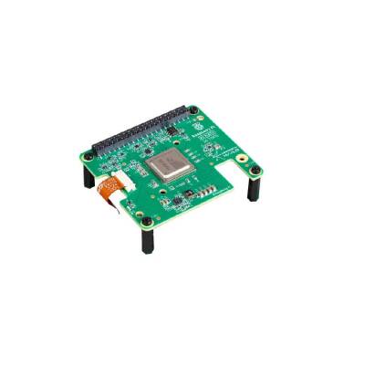 Raspberry Pi Al HAT+ (13T) - 1